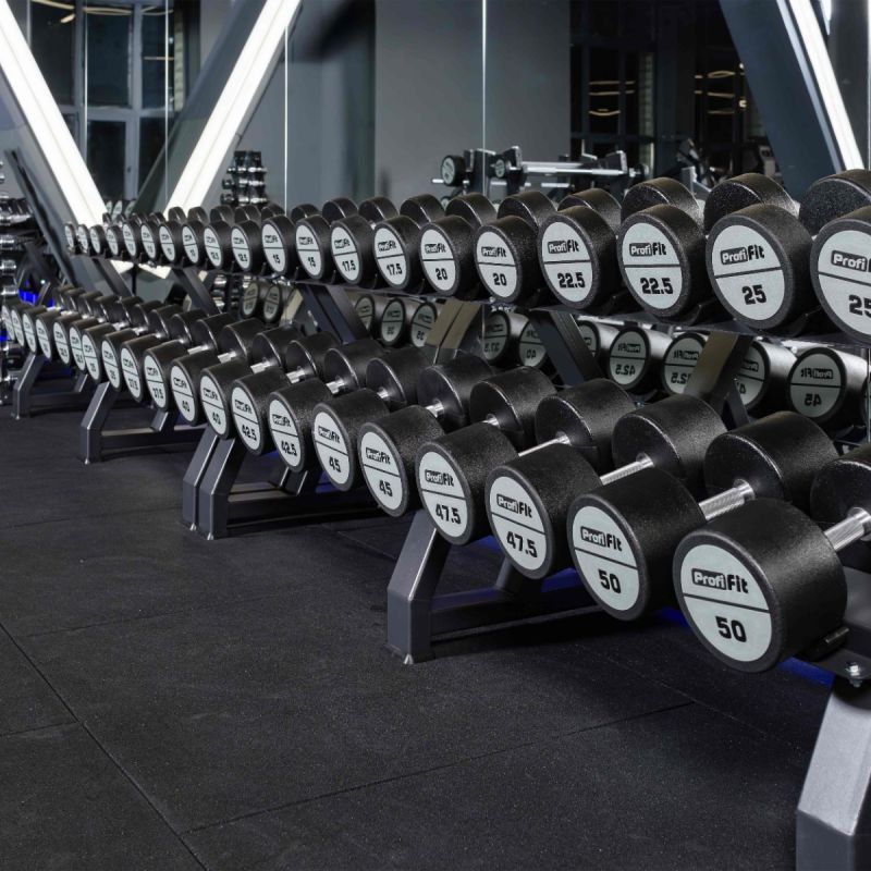 Гантель полиуретановая LEVEL PROFI-FIT 55 кг