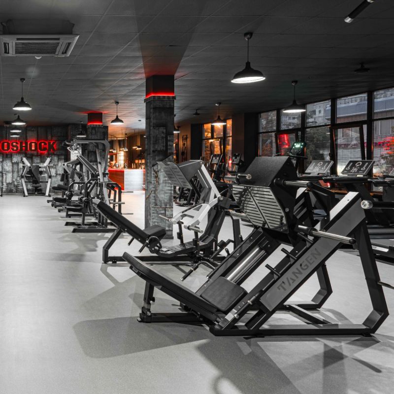 A3056-AL Жим ногами