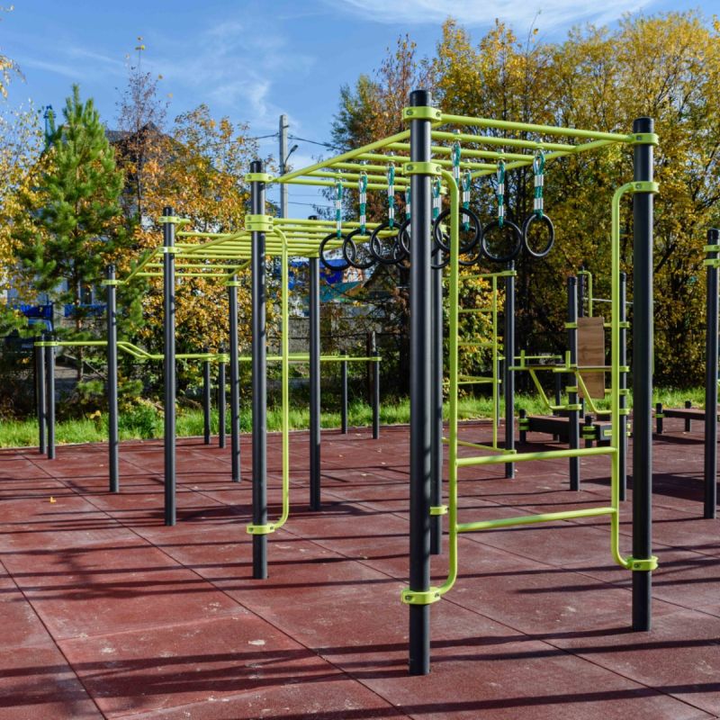 W258 GTO Рукоход с изменением высоты с подвижными кольцами (разноуровневый) ZAVODSPORTA