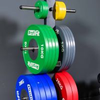 Диск профессиональный обрезиненный (цветной) D51 мм PROFI-FIT 20 кг