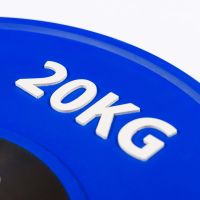 Диск профессиональный обрезиненный HARD цветной D51 мм PROFI-FIT 20 кг