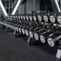 Гантель полиуретановая LEVEL PROFI-FIT 55 кг