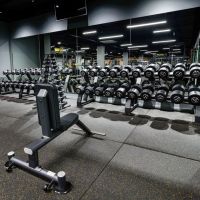 Гантельный ряд профессиональный (шаг 2,5 кг, 5 пар) PROFI-FIT 27,5-37,5 кг