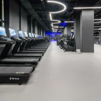Профессиональная беговая дорожка SHUA SH-T9100T