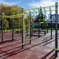 W258 GTO Рукоход с изменением высоты с подвижными кольцами (разноуровневый) ZAVODSPORTA